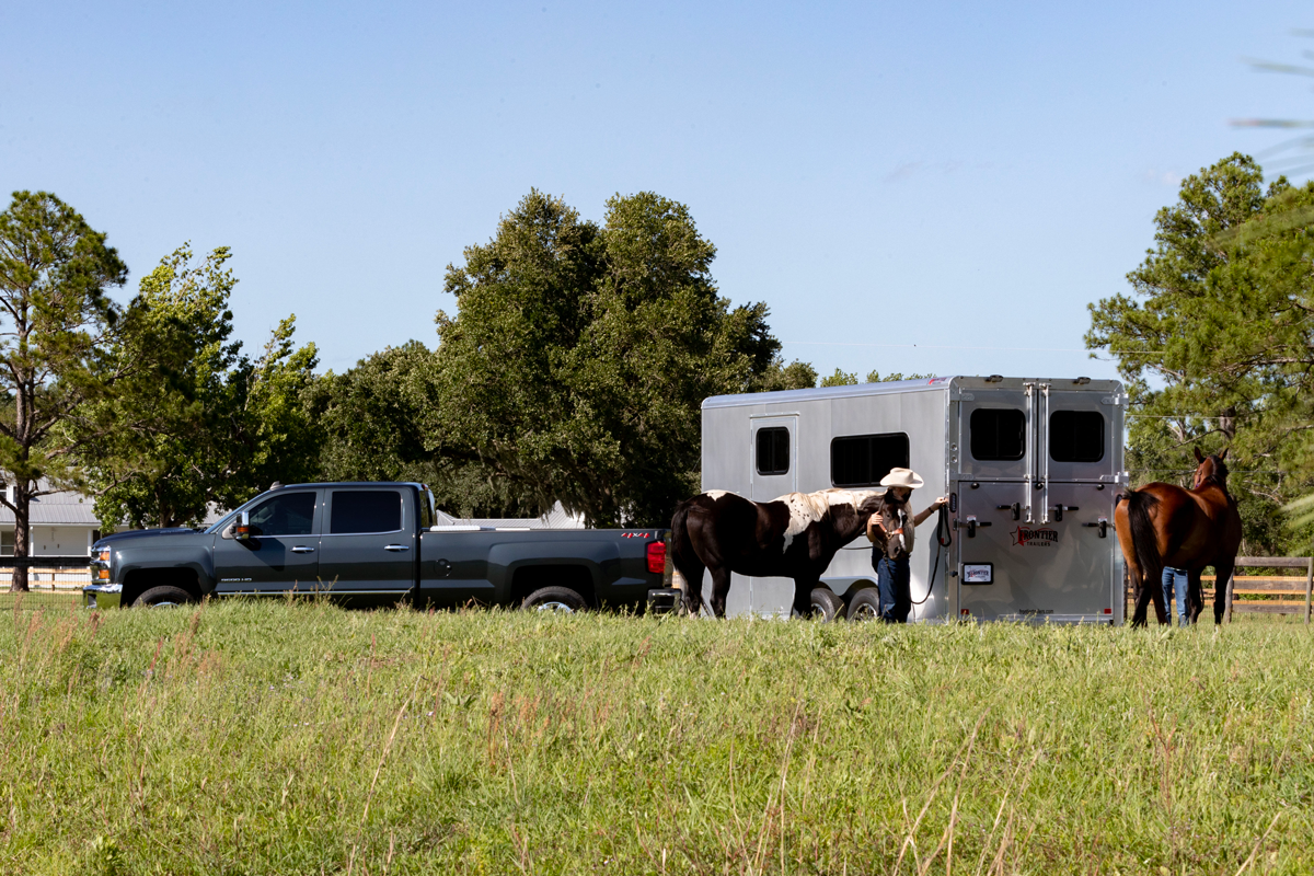 Ambassador 67" Lite BP Straight Load Series Grey Trailer In Field With Two Horses Ambassador 67" Lite BP Straight Load Series Grey Trailer In Field With Two Horses